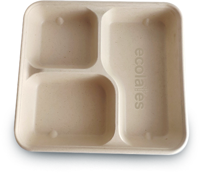 Sugarcane Bagasse Products-Biodegradable Products - Ecolates