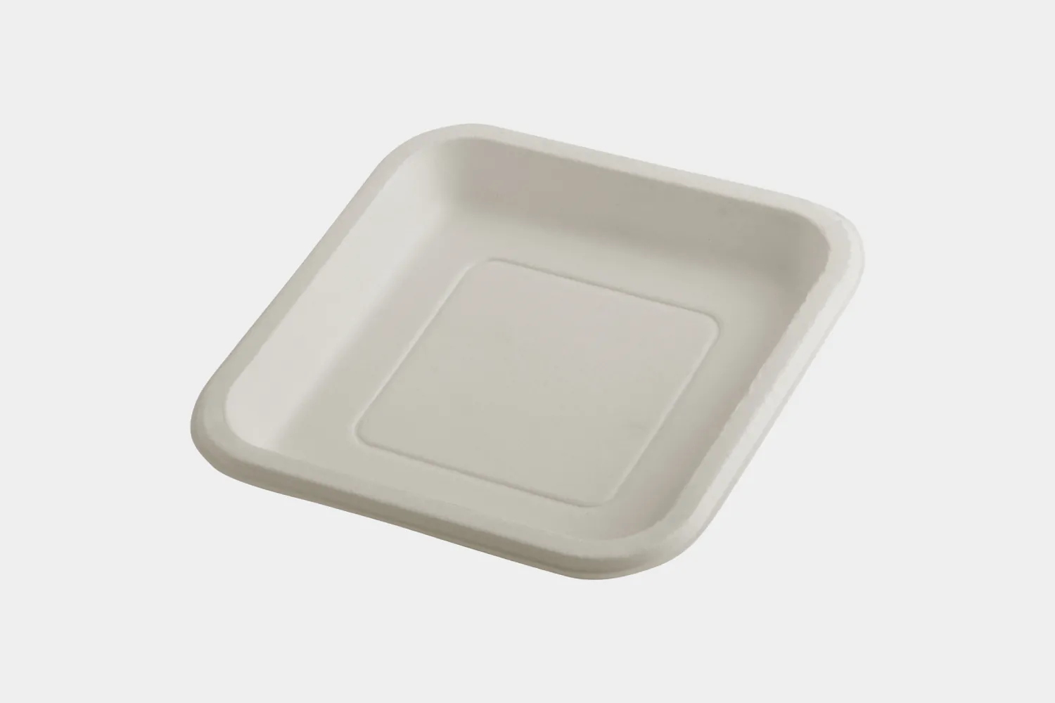 9" Square Flat Medium Size Bagasse Plate Front View - Ecolates