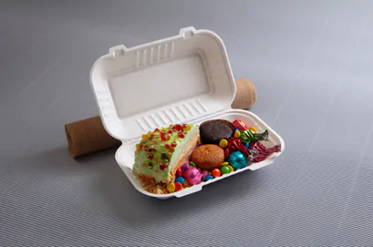 Cam Shell food Containers By Ecolates